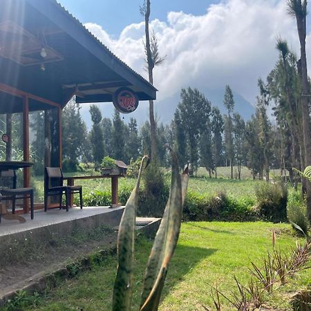 Gangga Guest House Bromo Ngadisari Zewnętrze zdjęcie